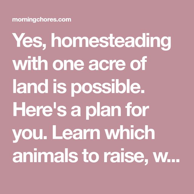 1 Acre Farm Plan Here S What To Plant Raise And Build On Smaller Land 1 Acre Farm Plan Here S What To Plant Raise And Build On Smaller Land