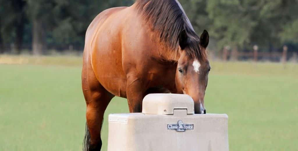10 Best Horse Water Troughs Images Horse Water Water Trough Horse 10 Best Horse Water Troughs Images Horse Water Water Trough Horse
