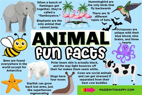 101 Fun Animal Facts For Kids Made With Happy 101 Fun Animal Facts For Kids Made With Happy