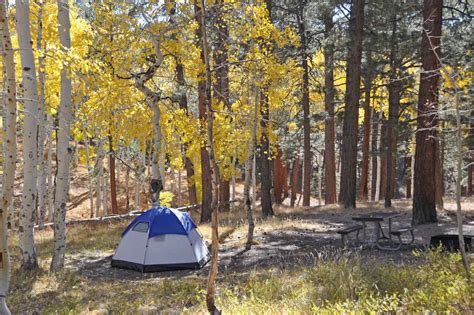 16 Best Places To Camp In Arizona Territory Supply 16 Best Places To Camp In Arizona Territory Supply