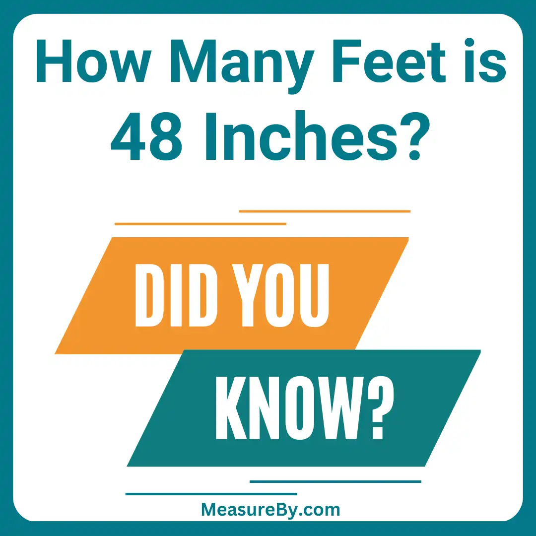 24 Inches Unpacked: Your Easy Length Guide 24 Inches Unpacked: Your Easy Length Guide
