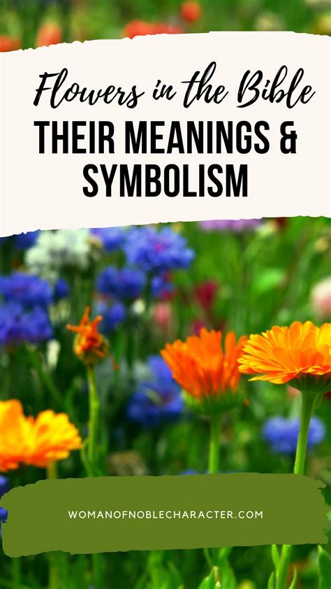 25 Charming French Flowers And Their Meanings 25 Charming French Flowers And Their Meanings