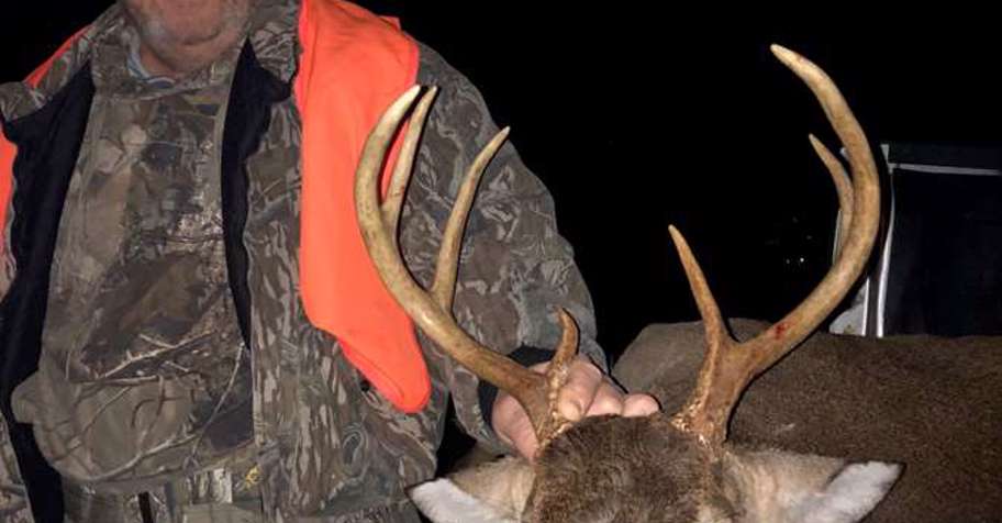 3 Night No Limit Hog Hunt Alabama United States Bookyourhunt Com 3 Night No Limit Hog Hunt Alabama United States Bookyourhunt Com