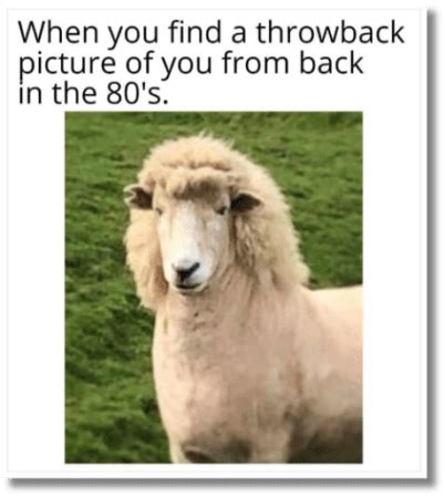 30 Popular Memes Right Now In 2024 Socialbu Blog 30 Popular Memes Right Now In 2024 Socialbu Blog
