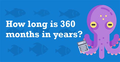 360 Months Unveiled: A Year-Round Journey