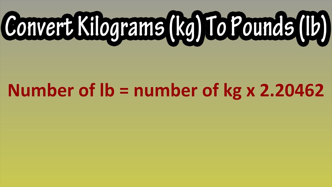 4 Tips to Convert 400g to lbs