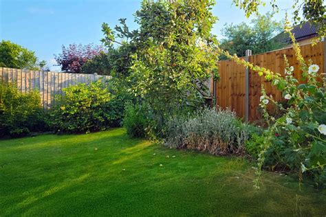 6 Tips To Help Your Lawn Thrive Even In Shady Spots According To Agronomy Experts