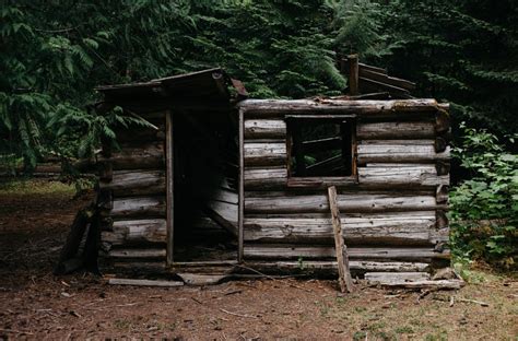 7 Guidelines For Building A Wilderness Shelter Like A Pro Summit Zero 7 Guidelines For Building A Wilderness Shelter Like A Pro Summit Zero