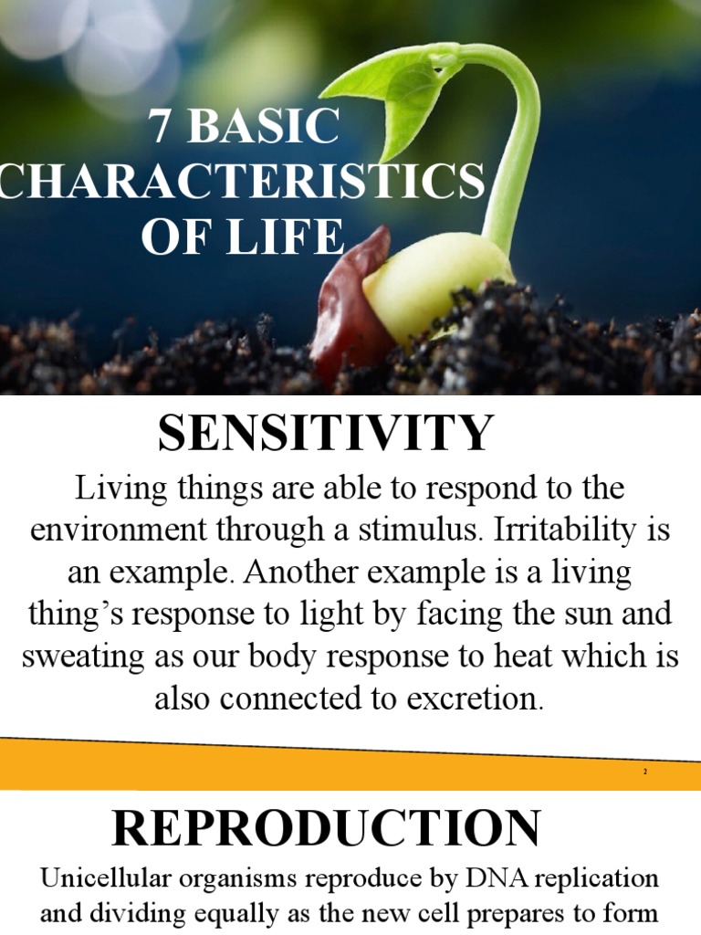 Unraveling the 8 Essentials of Life