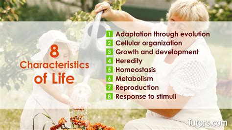 The 8 Essential Traits of Life