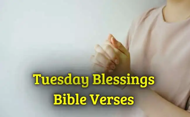 99 Thankful Tuesday Blessings Quotes Bible Verses