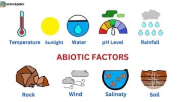 Abiotic Factors Sciencequery