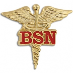 The Power of Accelerated BSN Programs