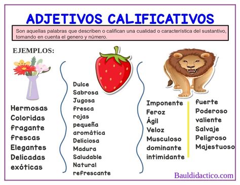 Adjetivos calificativos: El poder de la N