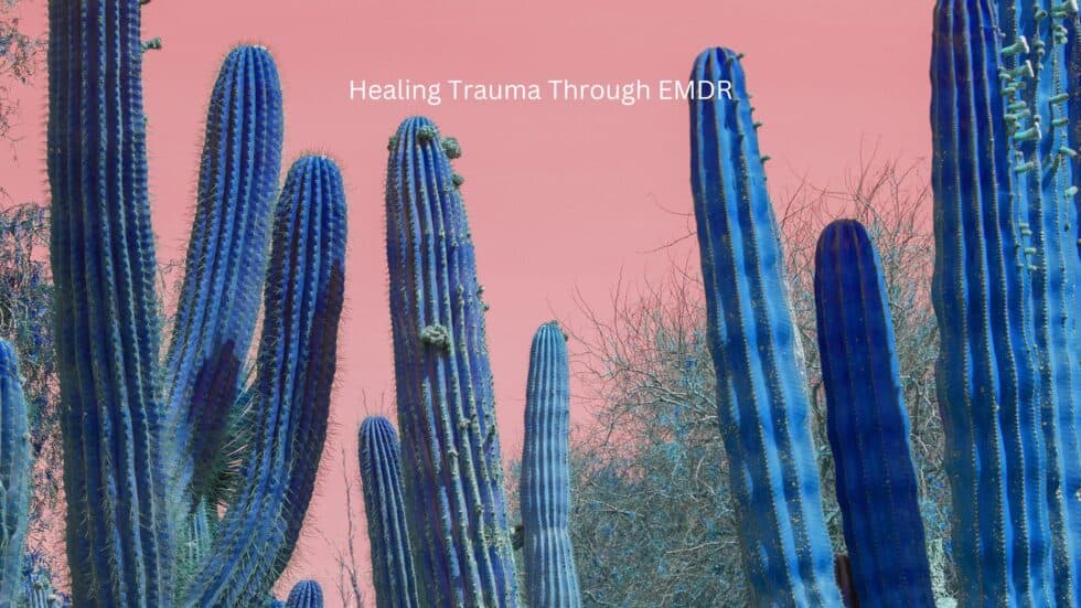 Adriana Alejandre Emdr Trauma Center Latinxtherapist Instagram Photos And Videos Adriana Alejandre Emdr Trauma Center Latinxtherapist Instagram Photos And Videos
