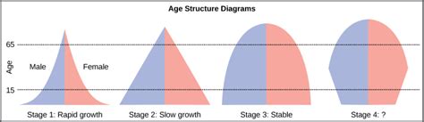 Age Structure Diagrams: Pitfalls and Precautions
