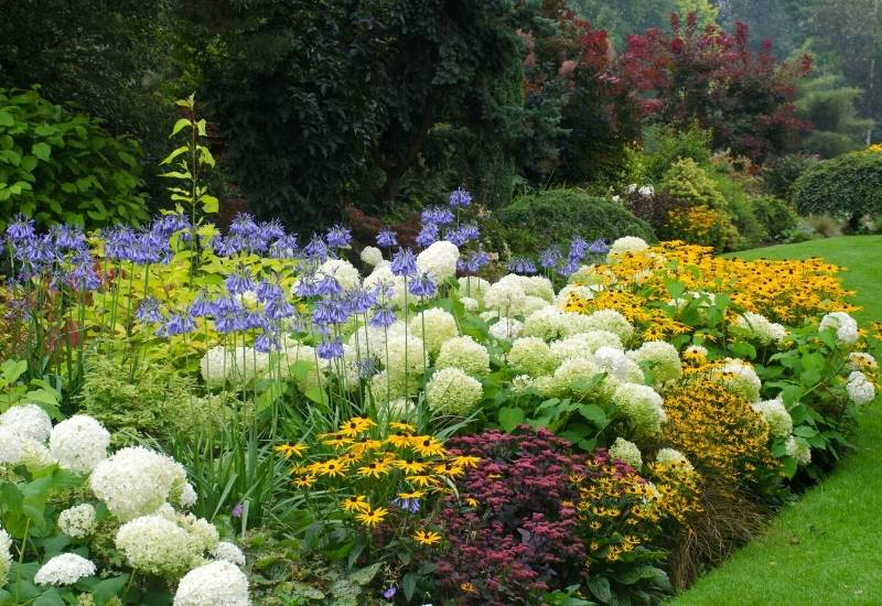 All Deer Resistant Garden Deer Resistant Landscaping Deer Proof All Deer Resistant Garden Deer Resistant Landscaping Deer Proof