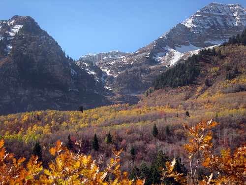 Uncover the Alpine Loop Utah's Trail