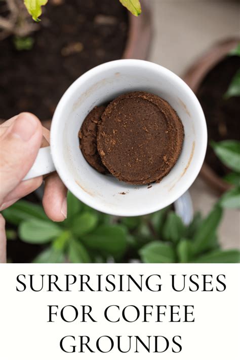 Amazing Uses For Coffee Grounds Amazing Uses For Coffee Grounds
