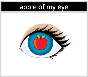 The 'Apple of My Eye': Unveiling its Meaning The 'Apple of My Eye': Unveiling its Meaning