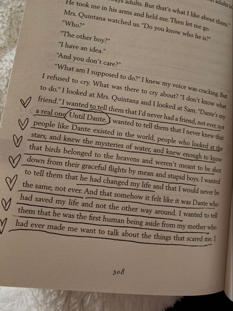 Aristotle And Dante Discover The Secrets Of The Universe Book By