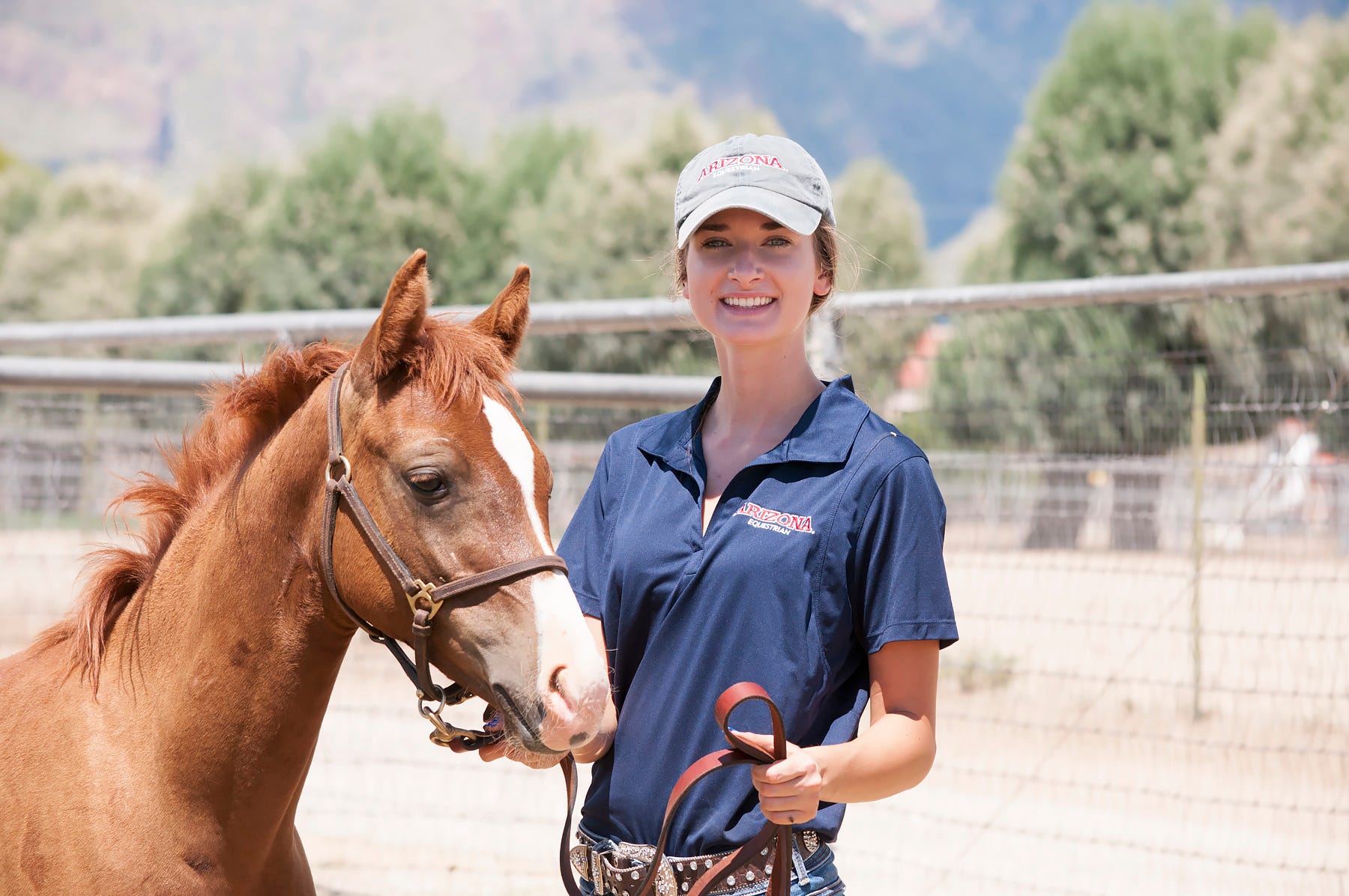 Explore Arizona's Top Veterinary Schools