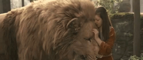 8 Reasons to Love Aslan