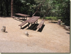 The Ultimate Guide to Bass Lake Camping The Ultimate Guide to Bass Lake Camping
