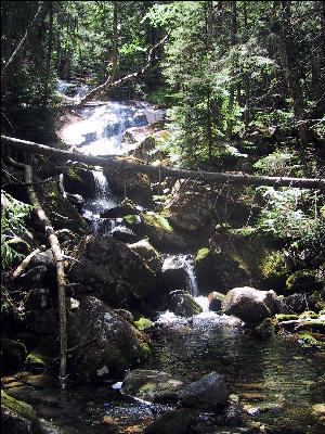 Discover Beaver Brook Trail's Beauty