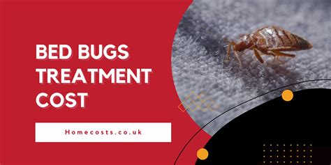 How Much Does Bed Bug Treatment Cost?