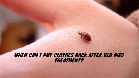 Here Are Your Bed Bug Treatment Costs