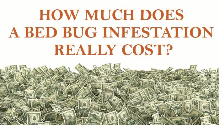 Bed Bug Treatment: Costs and Options