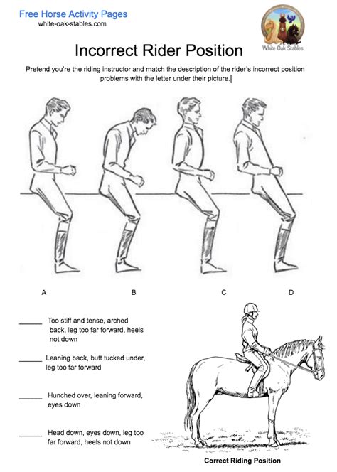 A Beginner's Guide to Horseback Riding Lessons