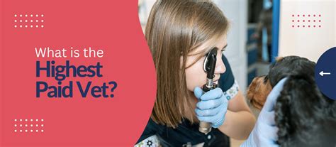 Top 5 Highest-Paid Veterinary Specialties Top 5 Highest-Paid Veterinary Specialties
