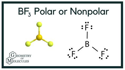Is BF3 Polar or Nonpolar?