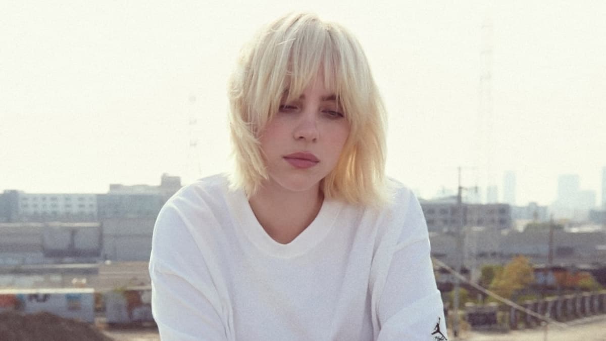 Billie Eilish Granted Order Of Protection From Shirtless Intruder Billie Eilish Granted Order Of Protection From Shirtless Intruder
