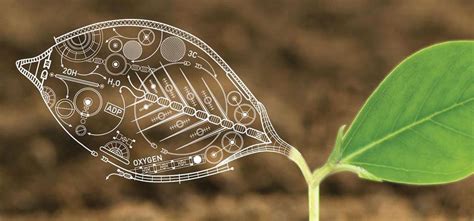 The Biology You Live With: 5 Insights
