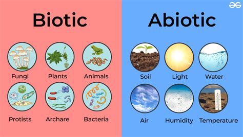 Unraveling the Biotic and Abiotic Worlds