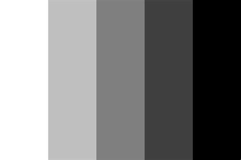 Unleash Your Creativity With Black & White