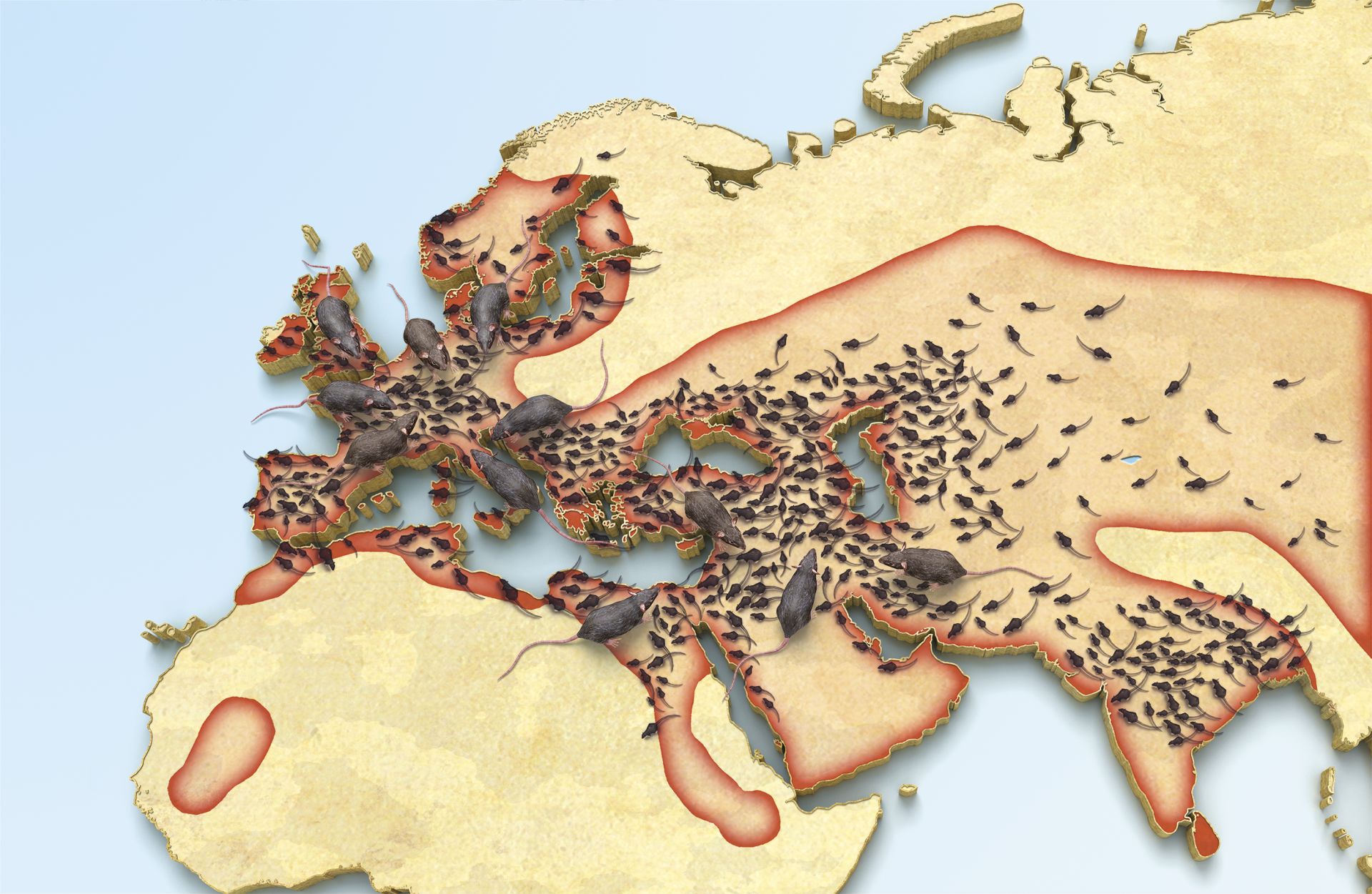 Black Death How Did The Black Death Spread Unraveling The Mystery