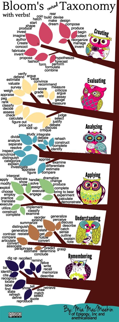 Bloom S Revised Taxonomy Action Verbs Infographic E Learning Infographics Bloom S Revised Taxonomy Action Verbs Infographic E Learning Infographics