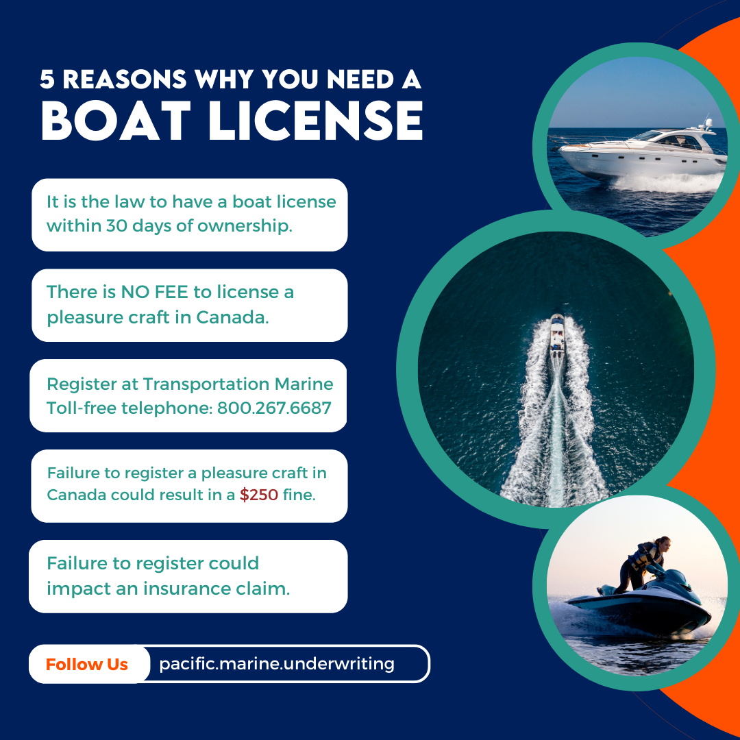 Boat License Categories At Martha Ehrlich Blog Boat License Categories At Martha Ehrlich Blog