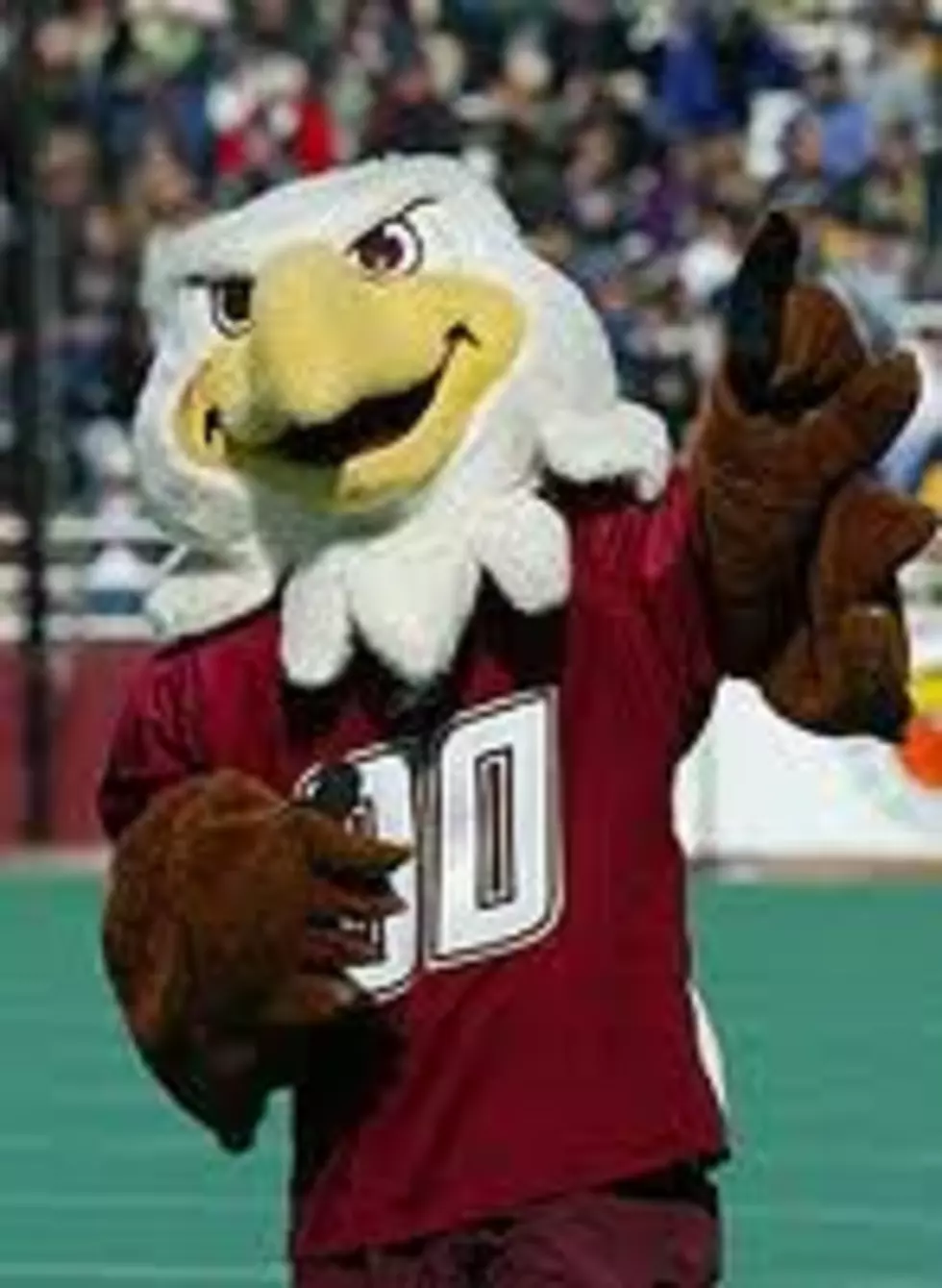 The Quest for Boston University's Mascot