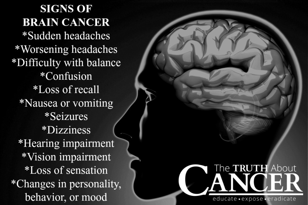 Recognizing Brain Cancer Symptoms in Dogs