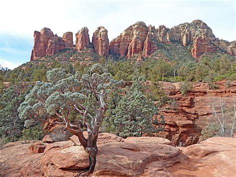A Guide to Brins Mesa Trail