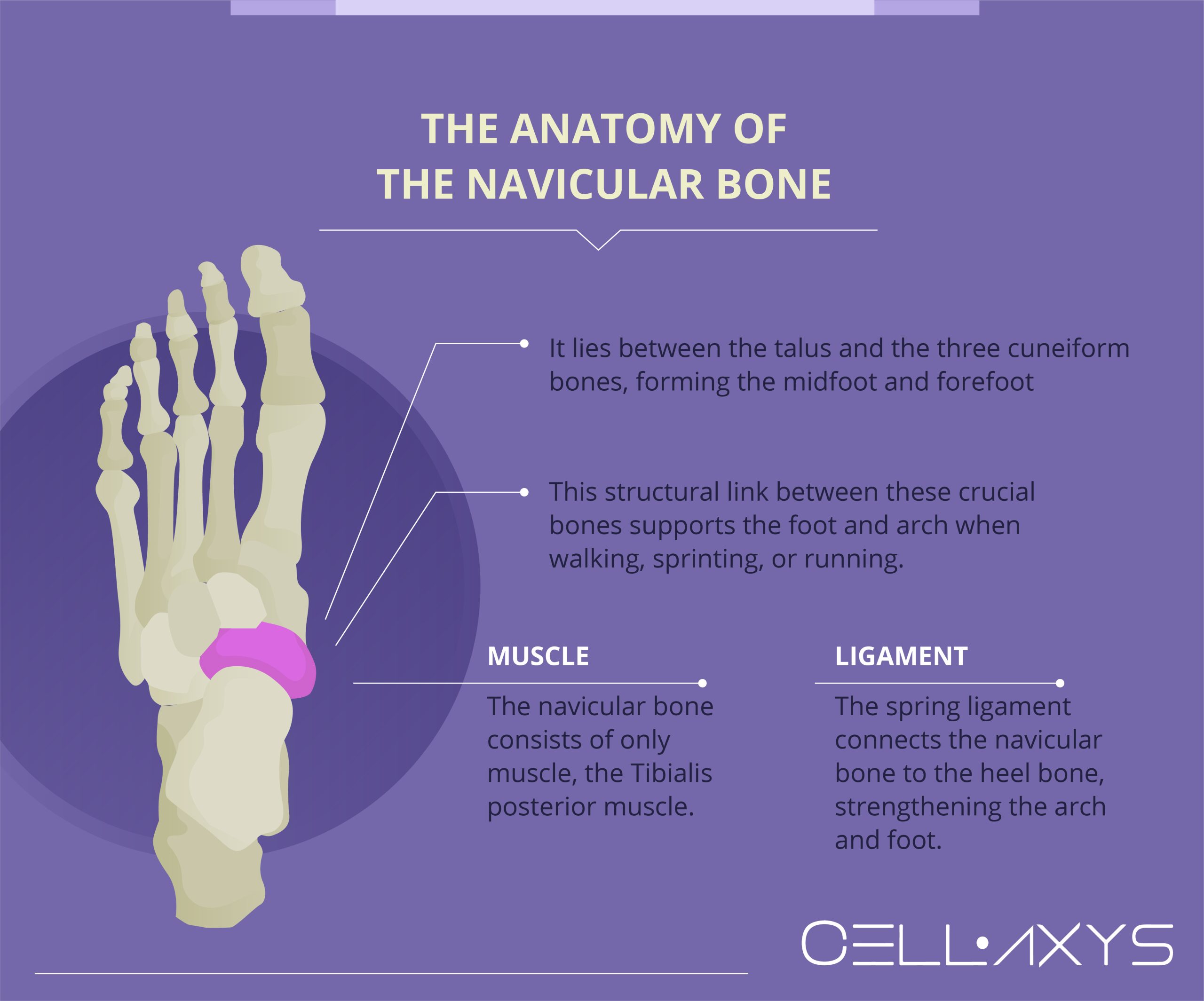 Non-Surgical Fixes: 3 Tips