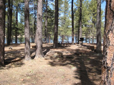 Camping Tips: 5 Amazing Spots