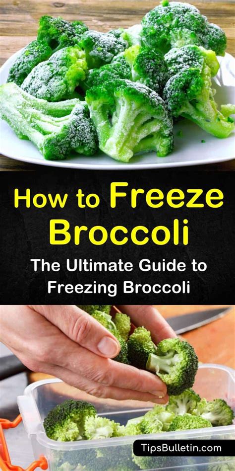 Broccoli's Frost Survival Secrets