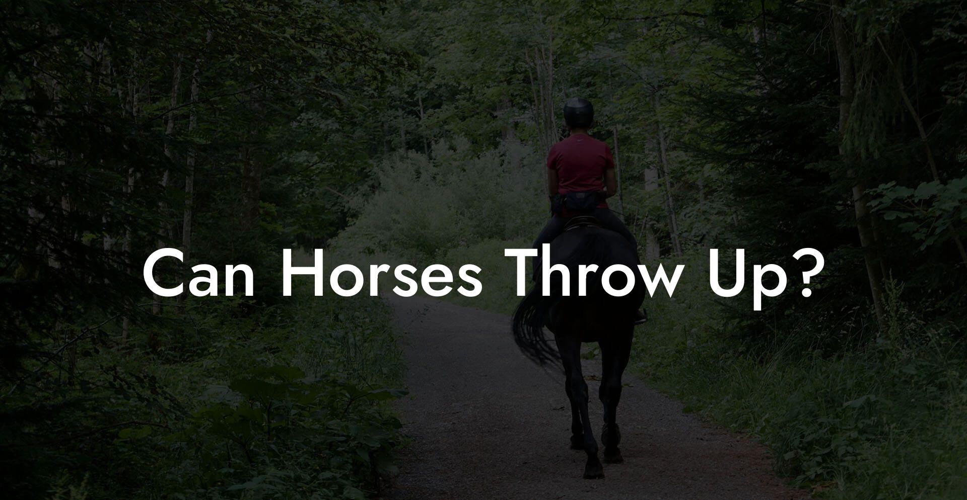 Can Horses Vomit? 5 Quick Facts.
