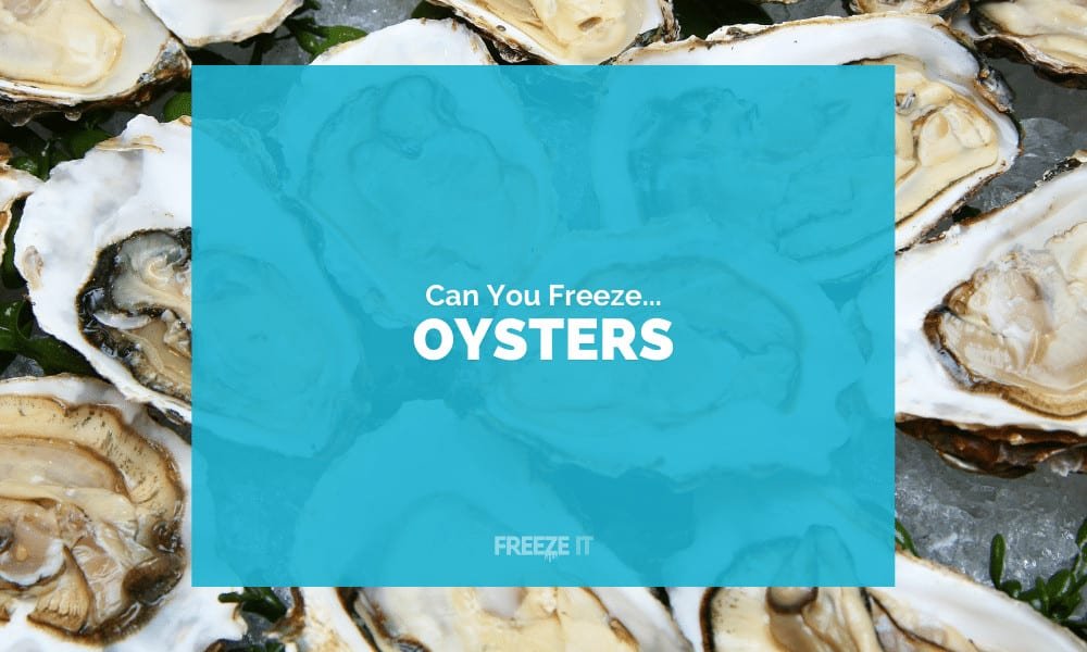 Oysters Frozen Fresh: A Quick Guide